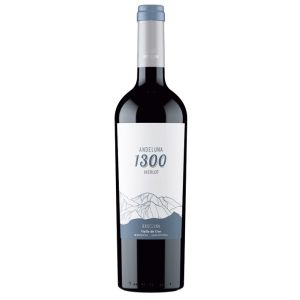 2021 Merlot 1300, Andeluna - Argentinien